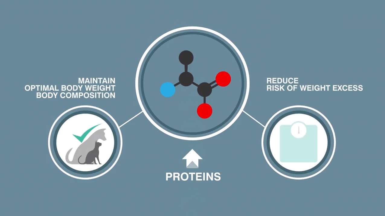 Lågt glykemiskt index